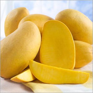 Sindhri Mangoes
