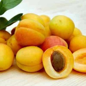 Khubani (Apricot)
